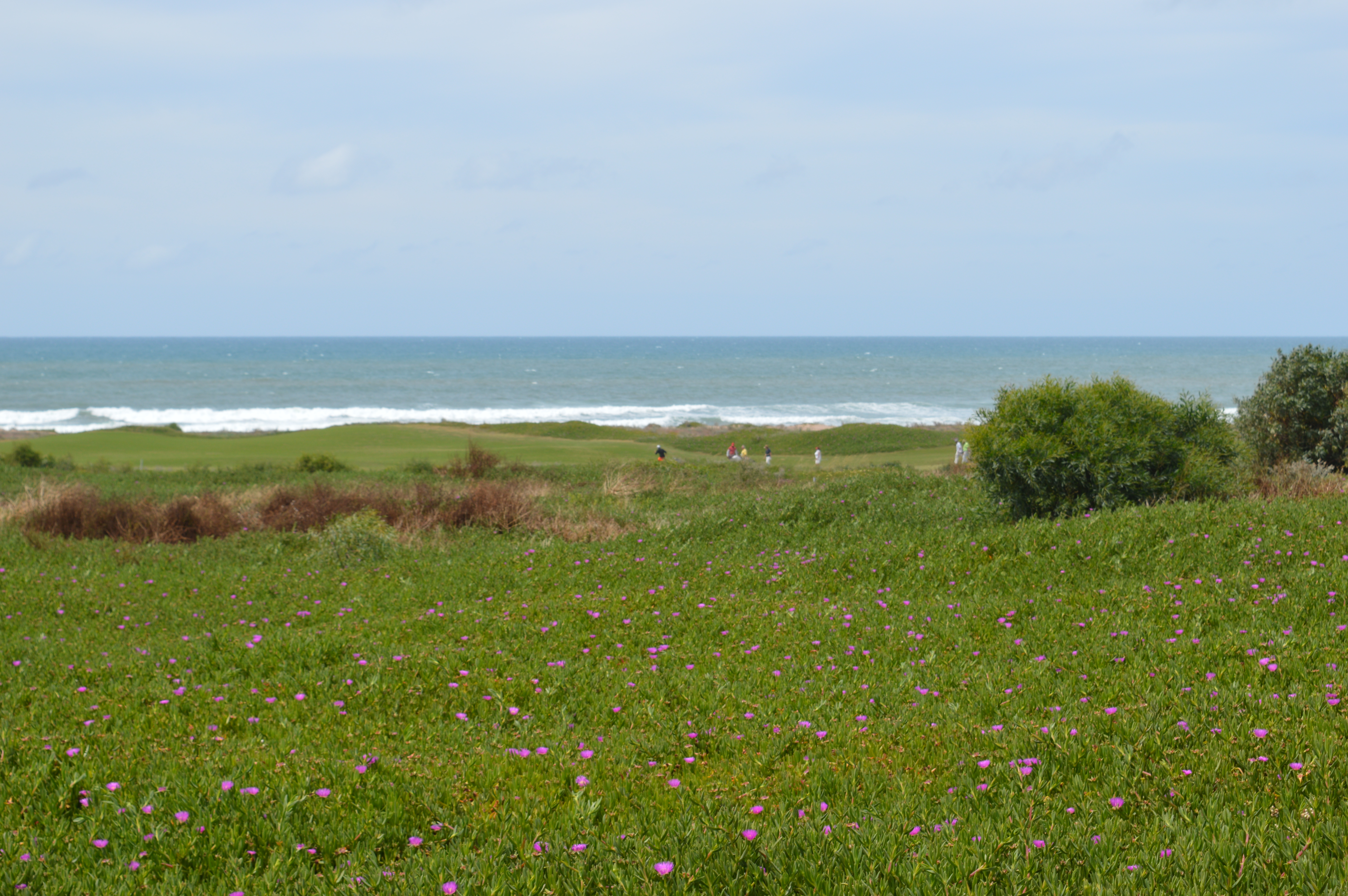 golf mazagan, golf el jadida maroc, mazagan, golf, maroc, eljadida, office tourisme el jadida maroc